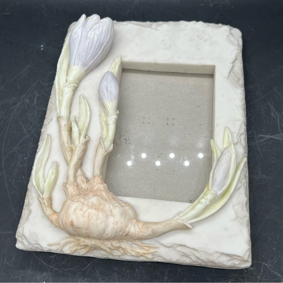 FRAME OLOGY LIFE MOMENTS ART PICTURE PHOTO FRAME FLOWER Spring Crocus 1997 - Picture 4 of 16